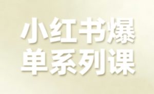 小红书爆单系列课,聚焦小红书电商全链路增长(更新)-淘金日记