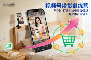 视频号带货训练营,从0到1打造你的带货变现路,低成本在家创业-淘金日记