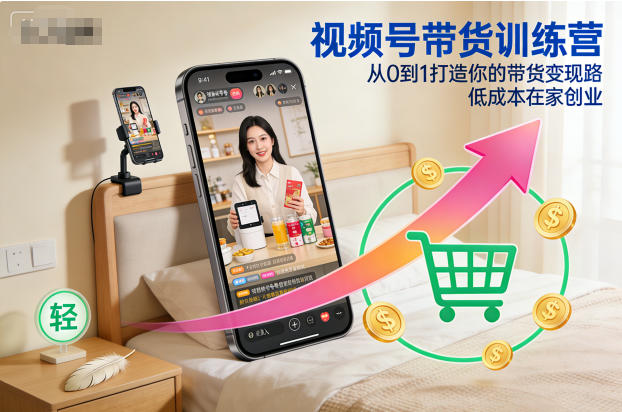 视频号带货训练营,从0到1打造你的带货变现路,低成本在家创业-淘金日记