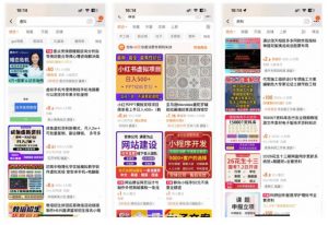 小红书SEO虚拟电商陪跑教程,实现seo搜索被动流量,自动成交的被动收入睡后项目-淘金日记