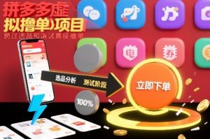 拼多多虚拟撸单项目，跳过选品和测试直接撸单-淘金日记