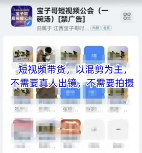 宝子哥头部团队短视频带货,以混剪为主,不需要真人出镜,不需要拍摄【更新12月】-淘金日记