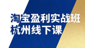淘宝盈利实战班杭州线下课12月26-28日(音频+字幕),帮你掌握SOP流程+12门核心技术-淘金日记