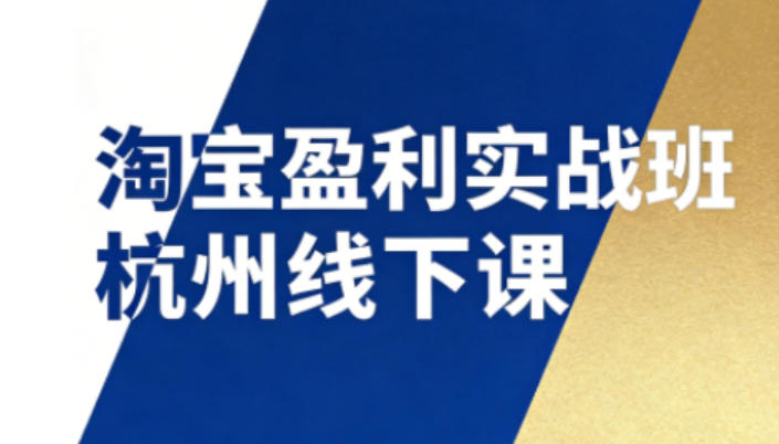 淘宝盈利实战班杭州线下课12月26-28日（音频+字幕），帮你掌握SOP流程+12门核心技术-淘金日记
