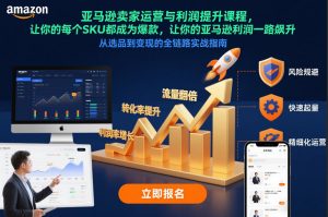 亚马逊卖家运营与利润提升课程,让你的每个SKU都成为爆款,让你的亚马逊利润一路飙升(更新12月)-淘金日记