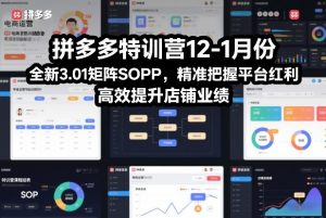 拼多多特训营12-1月份,全新3.01矩阵Sop,精准把握平台红利,高效提升店铺业绩-淘金日记