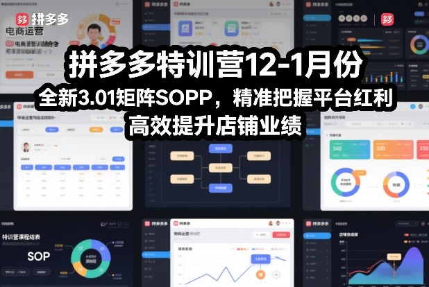 拼多多特训营12-1月份,全新3.01矩阵Sop,精准把握平台红利,高效提升店铺业绩-淘金日记