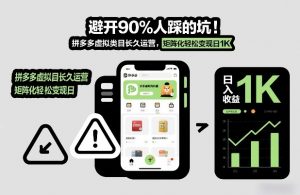 避开90%人踩的坑，拼多多虚拟类目长久运营，矩阵化轻松变现日1K【揭秘】-淘金日记