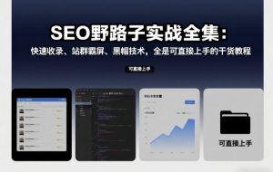 SEO野路子实战全集：快速收录、站群霸屏、黑帽技术，全是可直接上手的干货教程-淘金日记