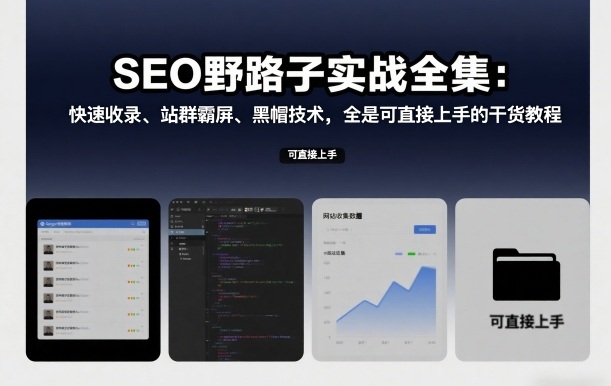 SEO野路子实战全集:快速收录、站群霸屏、黑帽技术,全是可直接上手的干货教程-淘金日记