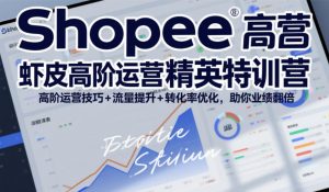 Shopee虾皮高阶运营精英特训营，高阶运营技巧+流量提升+转化率优化，助你业绩翻倍-淘金日记