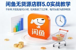 闲鱼无货源店群5.0实战教学，不补单，不投流，每天5小时，在闲鱼卖了几万单，每月5k到7k的净利润-淘金日记