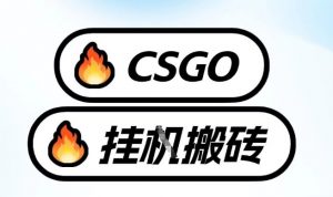 真全网独家CSGO挂G,最新玩法,单日捡漏1K+,不用电脑,不用打游戏【揭秘】-淘金日记