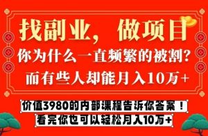价值3980的网创内部课程,告诉你互联网创业月入10个W的秘密【揭秘】-淘金日记