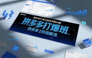 拼多多打爆班原创技术第54期，拼多多2阶段断流-淘金日记