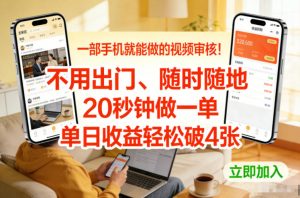 一部手机就能做的视频审核!不用出门,随时随地,20秒钟做一单,单日收益轻松破4张【揭秘】-淘金日记