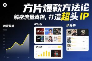方片爆款方法论，解密流量真相，打造超头IP-淘金日记