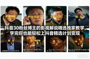抖音30万粉丝博主的影视解说精选独家教学，学完你也能轻松上抖音精选计划变现-淘金日记