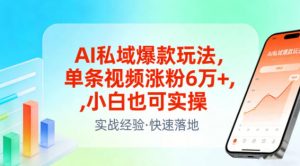 AI私域爆款玩法，单条视频涨粉6W+，小白也可实操-淘金日记