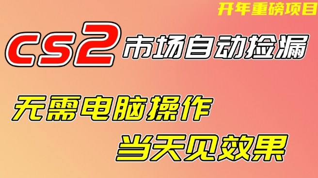CS2市场自动捡漏项目，无需电脑操作，无需进入游戏，当天见效果，支持任何形式验证【揭秘】-淘金日记