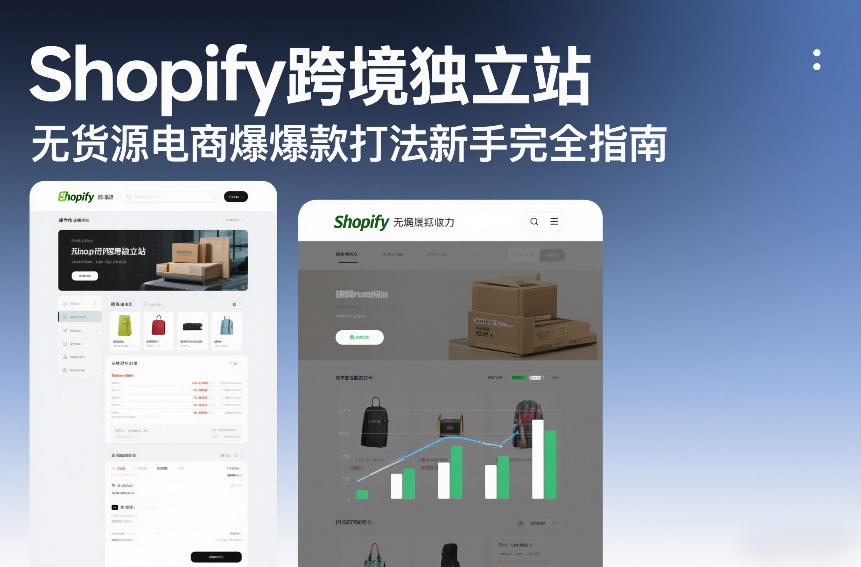 Shopify跨境独立站无货源电商爆款打法新手完全指南-淘金日记