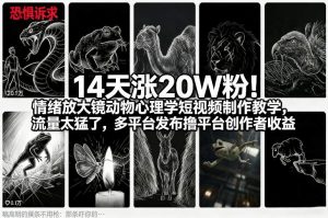 14天涨20W粉!情绪放大镜动物心理学短视频制作教学,流量太猛了,多平台发布撸平台创作者收益-淘金日记