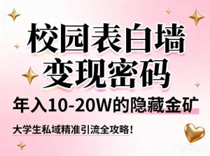 校园表白墙变现密码，年入10-20W的隐藏金矿，大学生私域精准引流全攻略！-淘金日记