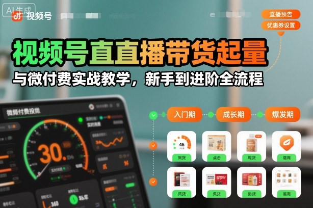 视频号直播带货起量与微付费实战教学,新手到进阶全流程(更新)-淘金日记