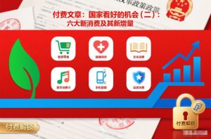 付费文章:国家看好的机会(二):六大新消费及其新增量-淘金日记