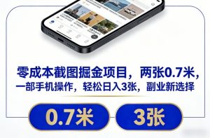 零成本截图掘金项目，两张0.7米，一部手机操作，轻松日入3张，副业新选择【揭秘】-淘金日记
