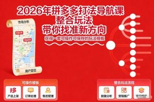 2026年拼多多打法导航课，整合玩法，带你找准新方向，获得一套可操作可保存的玩法模板-淘金日记