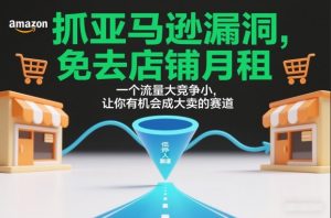 抓亚马逊漏洞，免去店铺月租，一个流量大竞争小，让你有机会成大卖的赛道-淘金日记