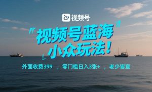 视频号蓝海小众玩法！外面收费399，零门槛日入3张+，老少皆宜-淘金日记