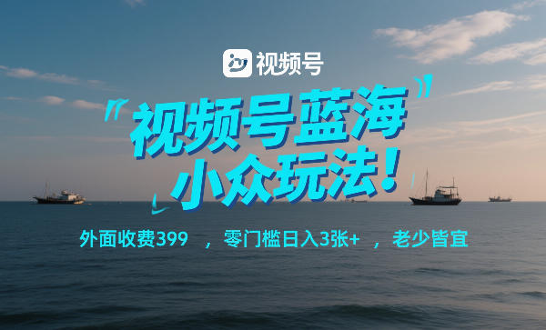 视频号蓝海小众玩法!外面收费399,零门槛日入3张+,老少皆宜-淘金日记