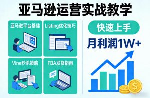 亚马逊运营实战教学，亚马逊平台+Listing优化+Vine秒杀+FBA发货等，快速上手，实现店铺月利润1W-淘金日记
