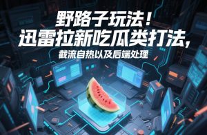 野路子玩法!迅雷拉新吃瓜类打法,截流自热以及后端处理-淘金日记