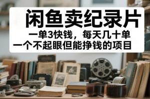 闲鱼卖纪录片,一单3快钱,每天几十单,一个不起眼但能挣钱的项目【揭秘】-淘金日记