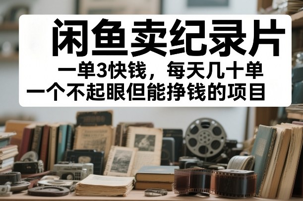 闲鱼卖纪录片,一单3快钱,每天几十单,一个不起眼但能挣钱的项目【揭秘】-淘金日记