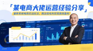 某电商大佬运营经验分享,最新系统电商实战玩法,跳出低毛利实现高效盈利-淘金日记