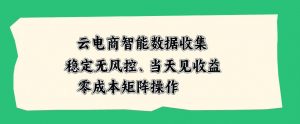 云电商智能数据收集，稳定无风控，当天做当天见收益，零成本矩阵操作【揭秘】-淘金日记