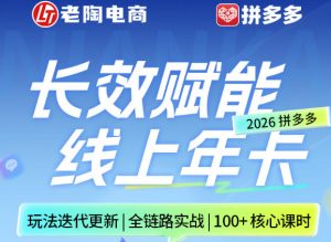 拼多多线上SVIP线上年卡，从认知到基础、从推广到活动、从活动到玩法，全链路实战（26年4月6日更新）-淘金日记