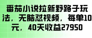 番茄小说拉新野路子玩法,无脑怼视频,玩法简单、见效快,每单10米,40天收益27950-淘金日记
