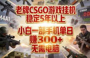 老牌CSGO游戏挂G,稳定5年以上,小白一部手机单日賺3张+,无需电脑【揭秘】-淘金日记