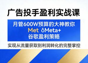 广告投手盈利实战课,月管600W预算的大神教你Meta+谷歌盈利策略,实现从流量获取到利润转化的完整掌控-淘金日记