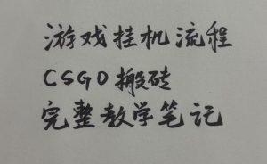 游戏挂G全流程笔记分享，CSGO游戏搬砖，小白看了当天学会见收益【揭秘】-淘金日记
