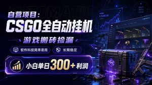 自营项目：CSGO全自动挂G，游戏搬砖捡漏，软件科技简单易用，长期稳定，小白单日300+利润【揭秘】-淘金日记