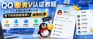QQ黄V认证教程,个人主资料显示黄V认证,号下所有群都是黄V,逼格拉满-淘金日记