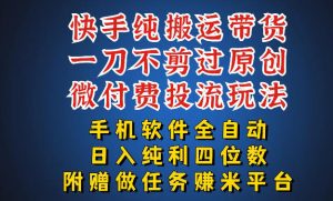 最新黑科技快手搬运带货方法,手机就能操作,轻松带你日入四位数【揭秘】-淘金日记