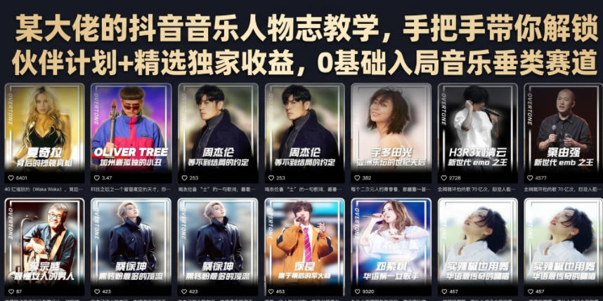 某大佬的抖音音乐人物志教学，手把手带你解锁伙伴计划+精选独家收益，0基础入局音乐垂类赛道-淘金日记