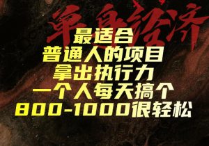 最适合普通人的项目,拿出执行力一个人每天搞个800-1k很轻松【揭秘】-淘金日记